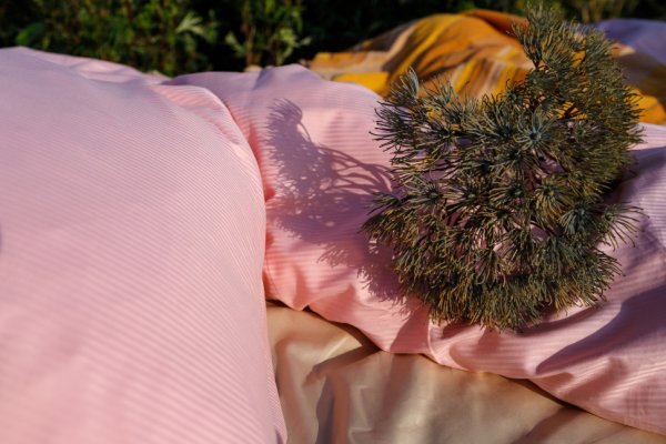 Комплект постельного белья Basic Stripe Розовый